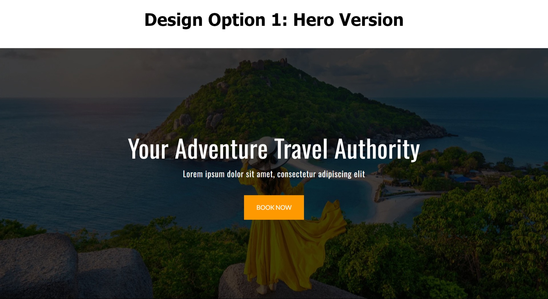 Design Option 1: Hero Version